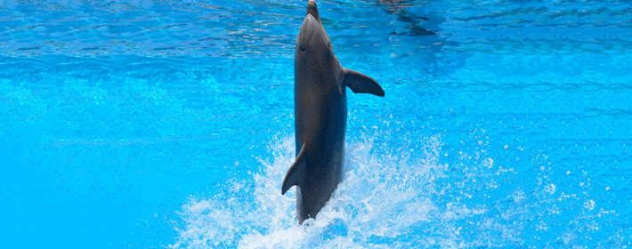 727ʲô