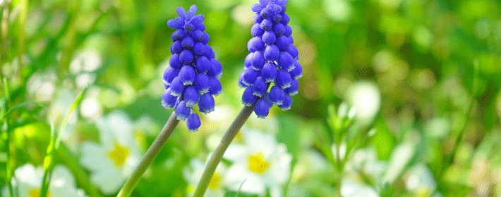 127ʲô
