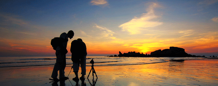 算命大师远客居的详细介绍