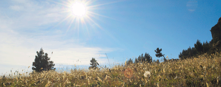 ������ʦ̫����������ϸ����