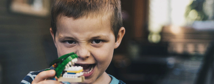 ����ʮ����Ф��������̵�����