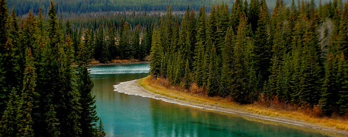 一个字的男孩名字大全