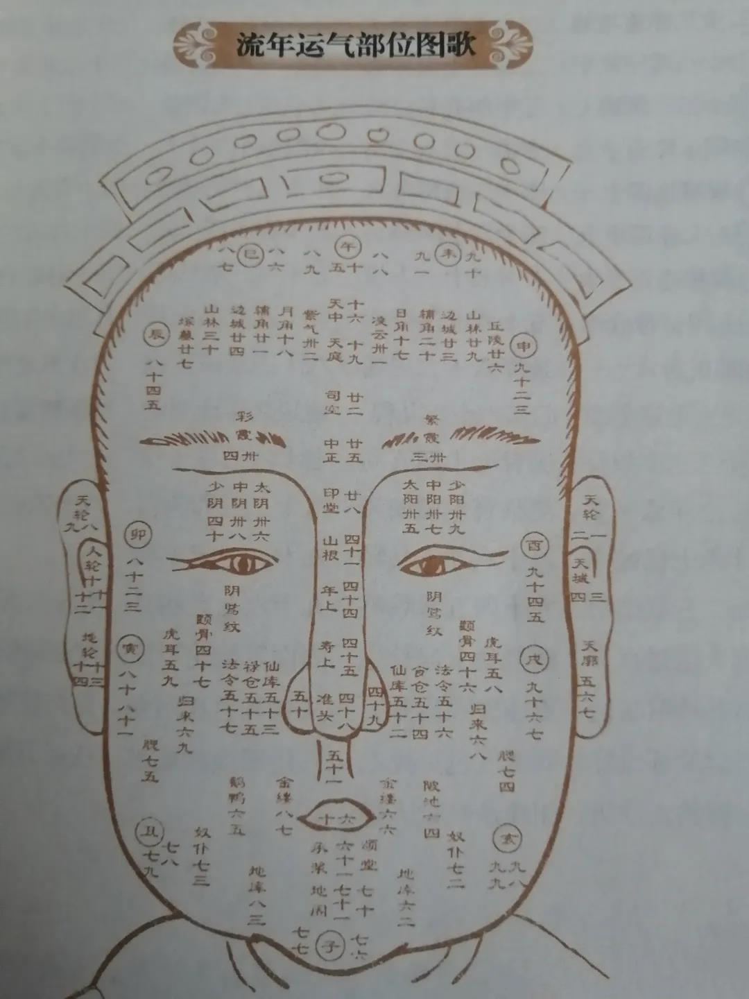 面相年龄图解图片