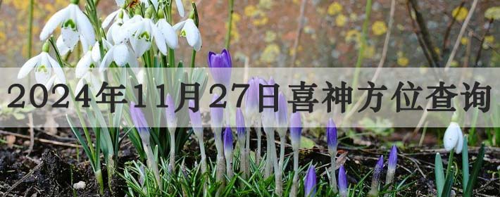 20241127ϲλѯ