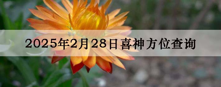 2025228ϲλϸ