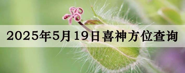 2025519ϲλϸ