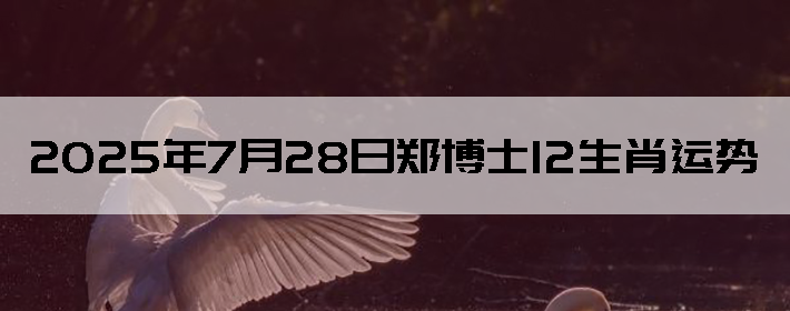 2025728֣ʿ12Ф