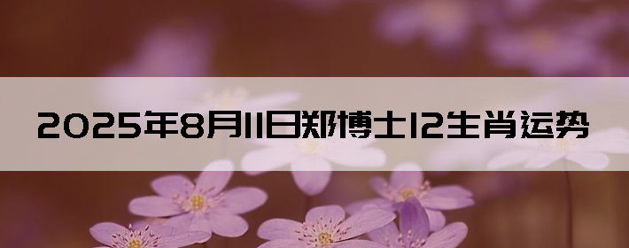 2025811֣ʿ12Ф
