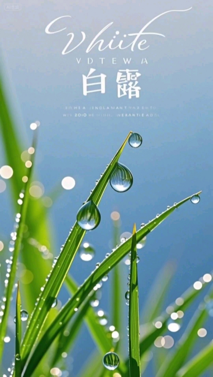 白露,节气白露习俗,白露浪漫的习俗