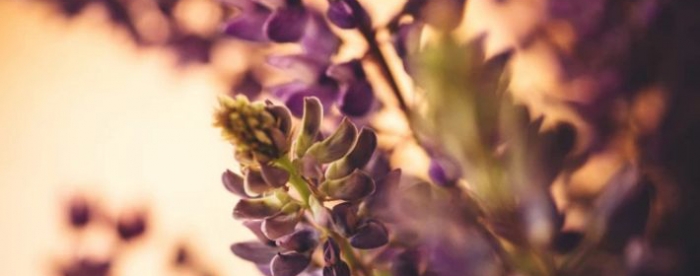 事业瓶颈何时突破?看运势免费算命