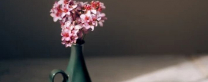 免费在线算命:家宅风水是否有问题