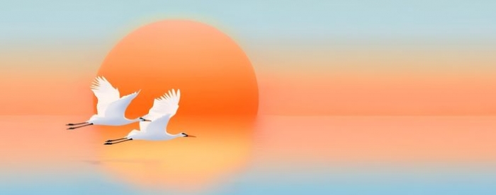 免费在线算命:看你命中几次劫难