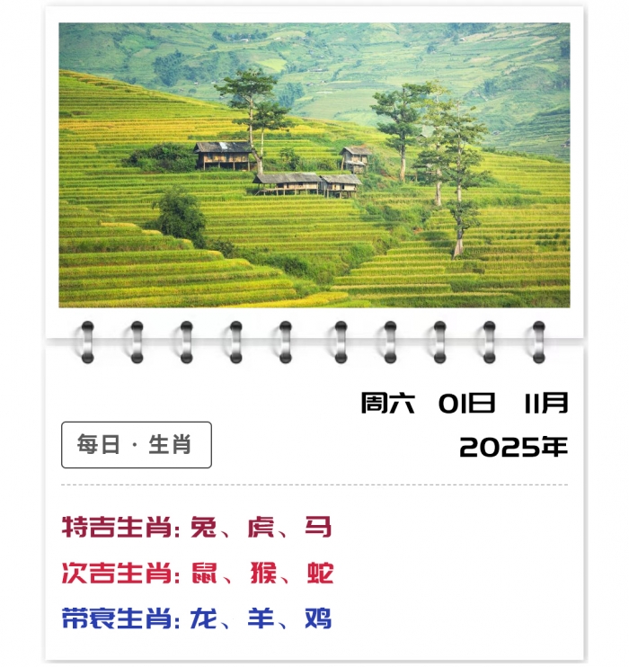 11月1日郑博士运势,12生肖运势,生肖今日运势解读