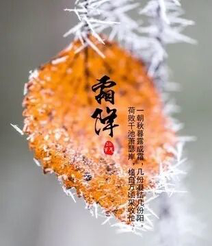 ˪��,�����������,˪��֪ʶ