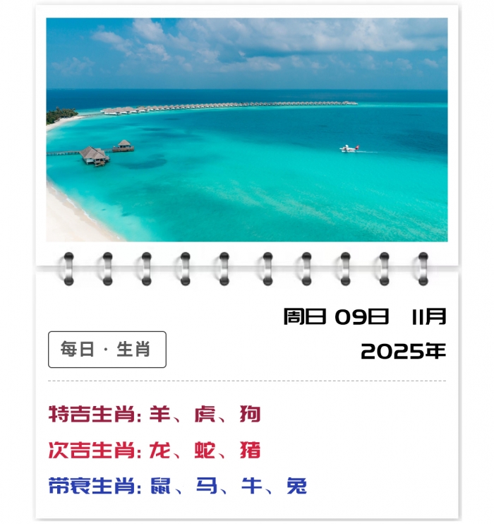 12生肖运势,生肖每日运势解读,11月9日生肖运势