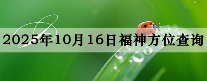 2025��11��16�ո���λȫ������