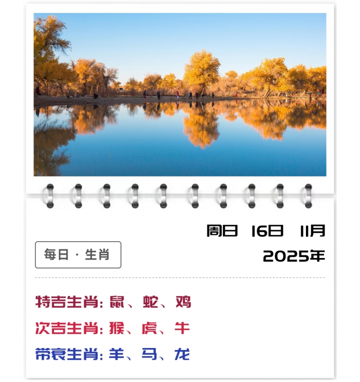 2025年11月16日郑博士12生肖运势