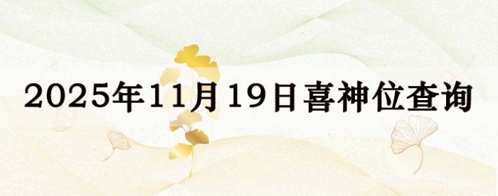 2025��11��19��ϲ��λ��ϸ����