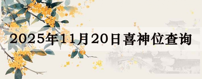 2025��11��20��ϲ��λ��ϸ����