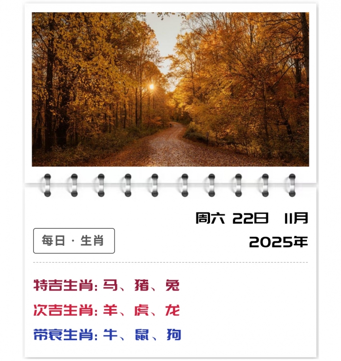 11��22��֣��ʿ����,12��Ф����,12��Фÿ����������