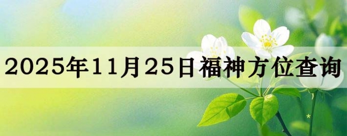 2025��11��25�ո���λȫ������