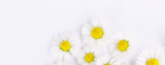 �����˹�������������Լ��Ĳ�����Σ�