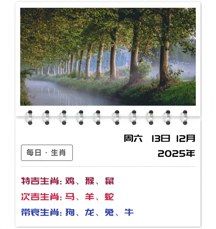 12生肖运势,运势吉凶生肖运程,12月13日郑博士运势解读