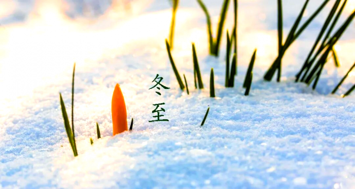 ��������ϰ��,��������,���������������