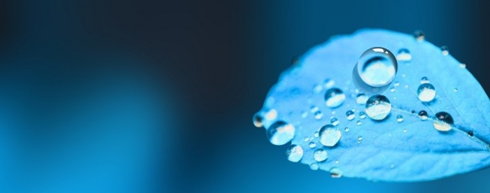 免费算命婚姻正缘需要多次看吗