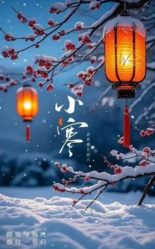 С������֪ʶ,С������,С����������