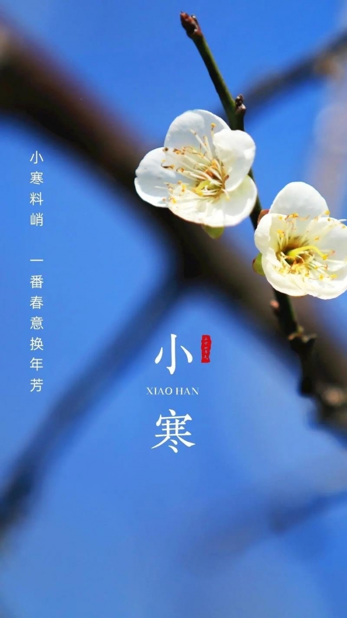 节气命理解读,小寒节气,小寒节气养生规律