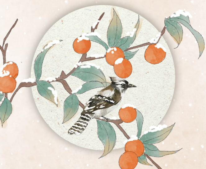 �󺮽���,�󺮽���֪ʶ,�󺮽���ϰ��