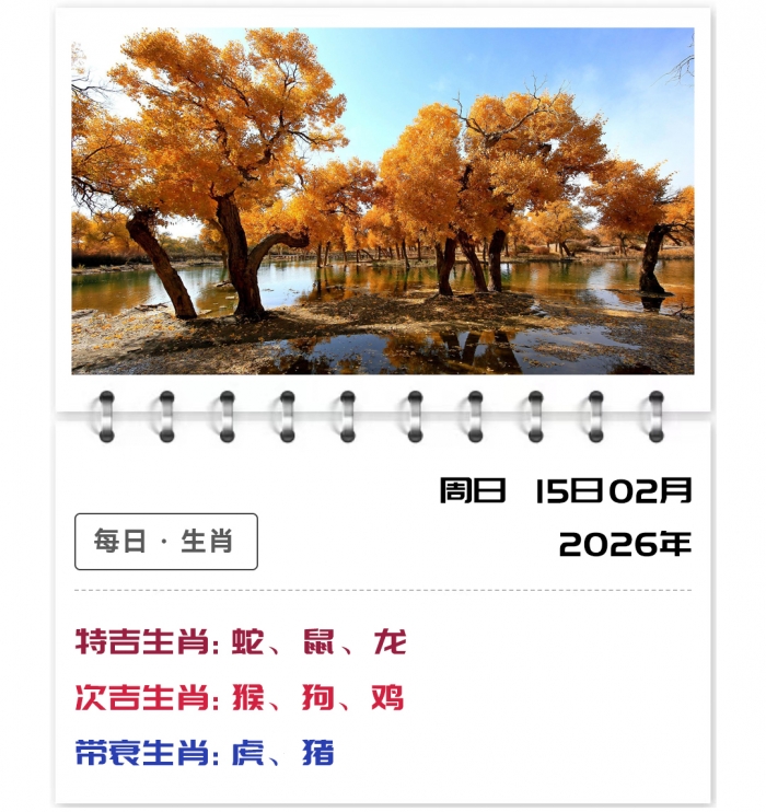 ������Ф���Ƽ���,12��Ф����,2026��2��15�����Ƽ���