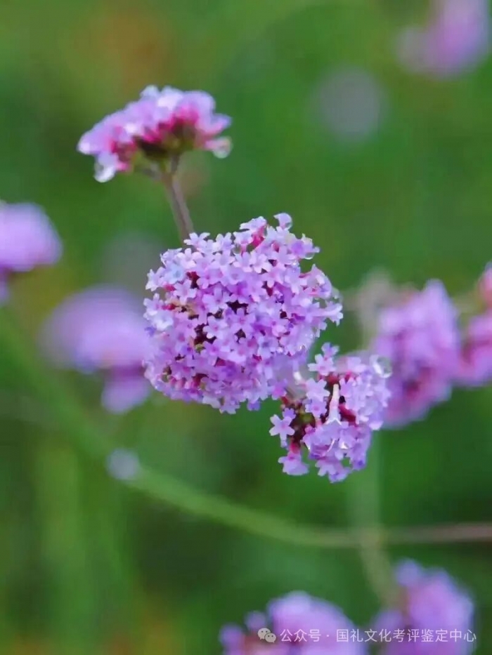 ��ˮ����,�����������,�����ص���ϰ��