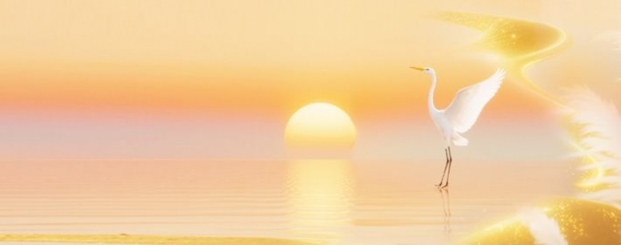 ���ռ������������ҵ��չ����