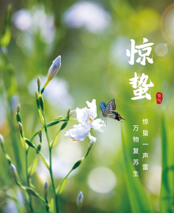 �����������,����,��������