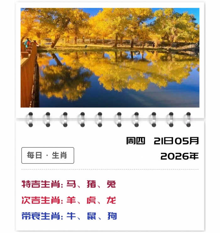12生肖运势,郑博士偏财运势,2026年5月21日运势吉凶