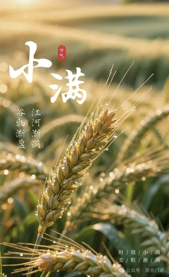 小满节气,小满节气习俗