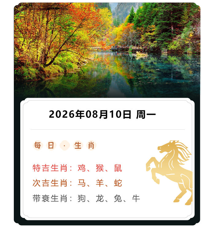 12��Ф����,֣��ʿ��������,2026��8��10����Ф�˽��