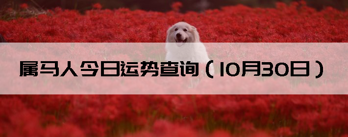 ˽Ʋѯ1030գ